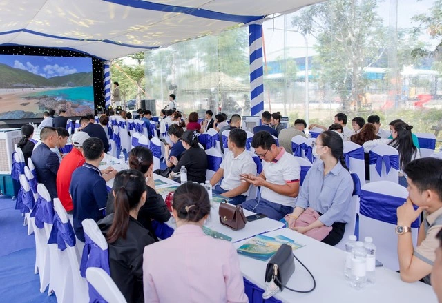 Hậu sáp nhập, Quy Nhơn được quy hoạch trở thành ‘hạt nhân’ của siêu tỉnh Gia Lai - Ảnh 4