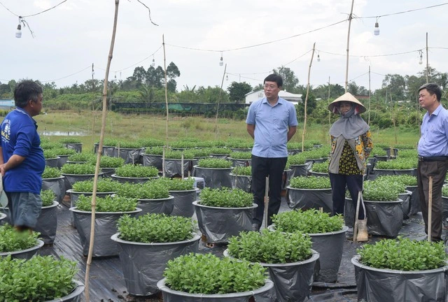 Đồng Tháp đột phá trong nông nghiệp, hướng đến phát triển nhanh và bền vững - Ảnh 1