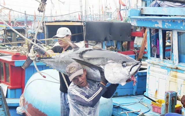 Quyết tâm gỡ thẻ vàng IUU trong năm nay - Ảnh 1