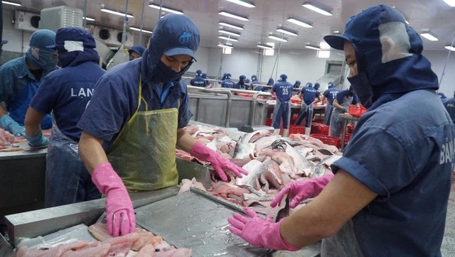 Đồng Tháp đột phá trong nông nghiệp, hướng đến phát triển nhanh và bền vững - Ảnh 4