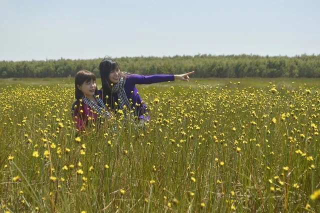 Đồng Tháp bứt phá để trở thành điểm sáng về phát triển kinh tế - Ảnh 6