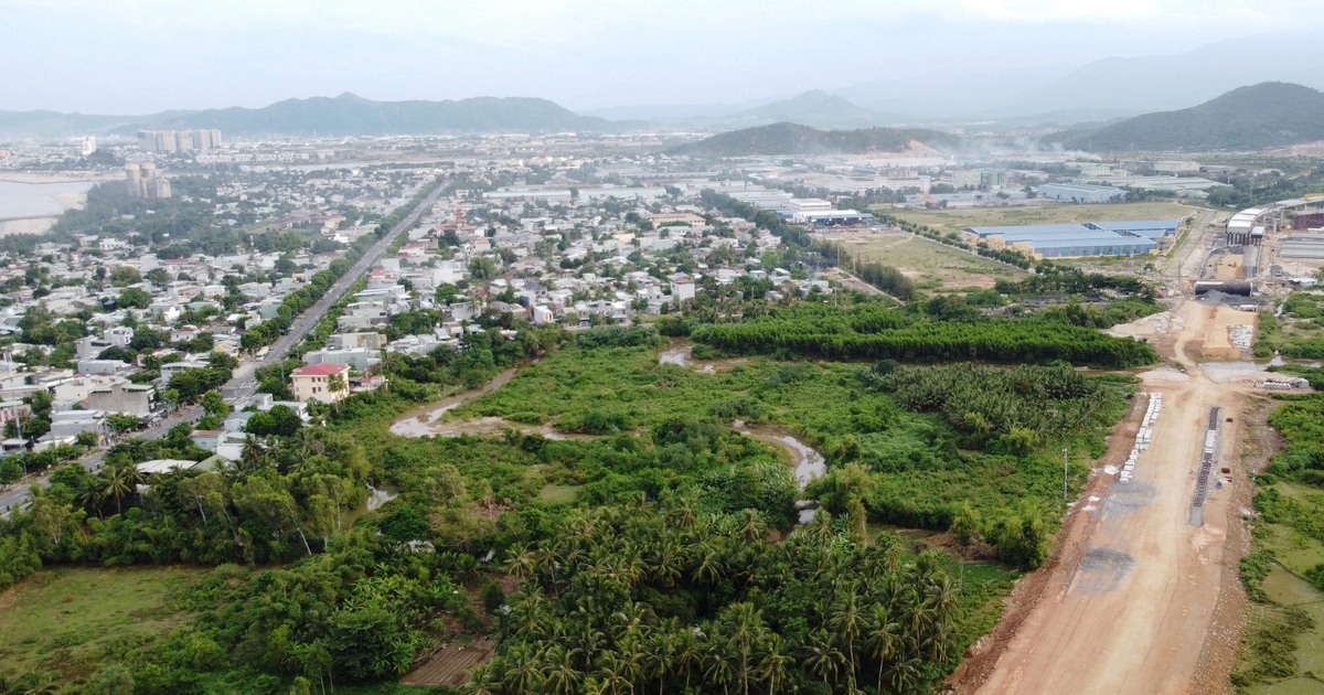 Khu thương mại tự do Đà Nẵng: Được giao đất không qua đấu giá, đấu thầu