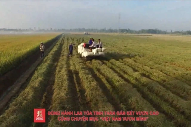 Bia Saigon - viết tiếp câu chuyện mang giá trị tốt đẹp trong Việt Nam Vươn Mình - Ảnh 4