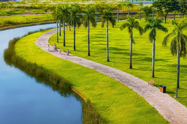 Solaria Rise - ‘chuẩn sống mới’ của Gen Z - Ảnh 4