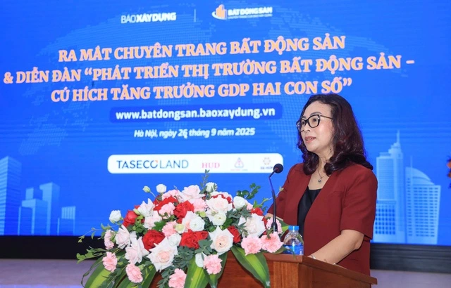 'Thị trường bất động sản còn méo mó, bị chi phối bởi đầu cơ' - Ảnh 2