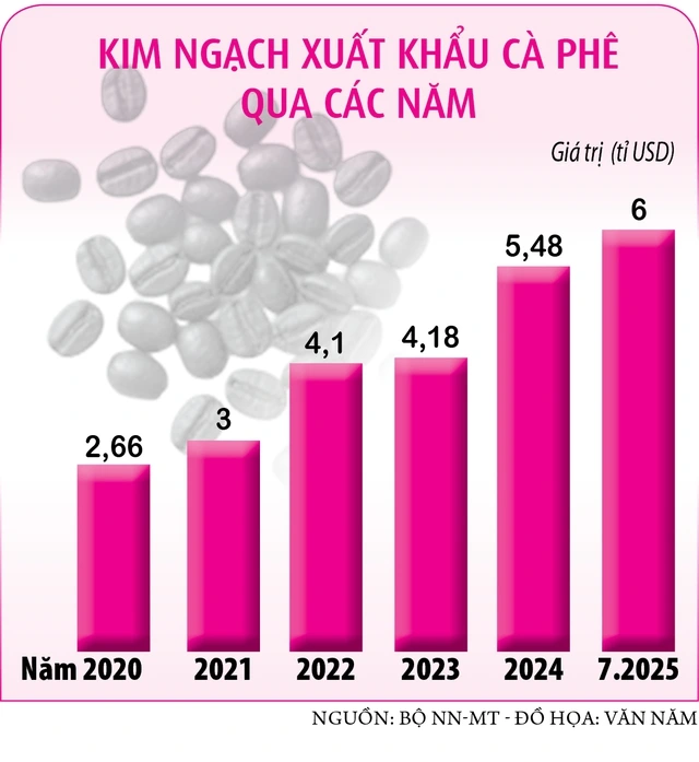 Xuất khẩu cà phê sang Campuchia tăng đột biến - Ảnh 2