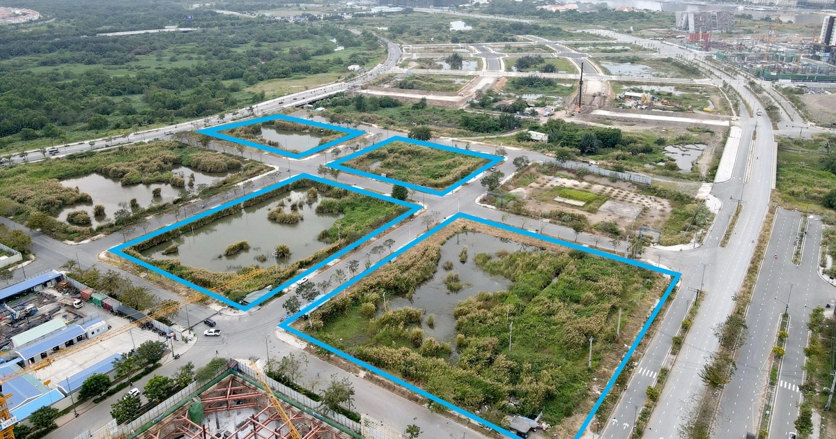 Nâng mức đặt cọc, chặn thổi đấu giá đất
