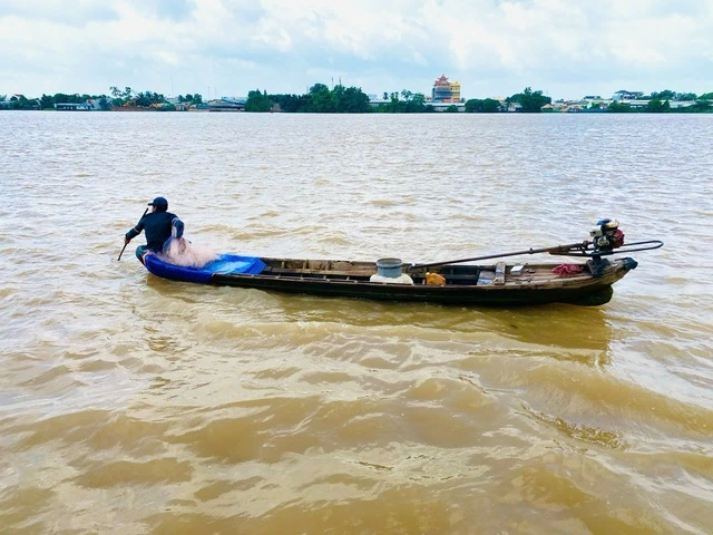 Cảnh báo ngập ở ĐBSCL do lũ kết hợp triều cường - Ảnh 1