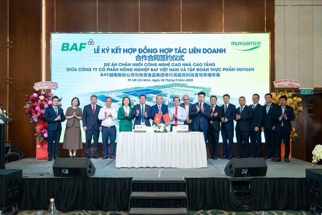 Tây Ninh sắp có 'chung cư' nuôi heo đầu tiên tại Việt Nam - Ảnh 1