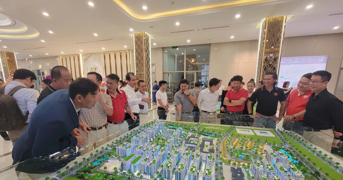 Doanh nghiệp Nhật Bản, Ấn Độ tìm kiếm cơ hội đầu tư tại KCN Hàm Kiệm II