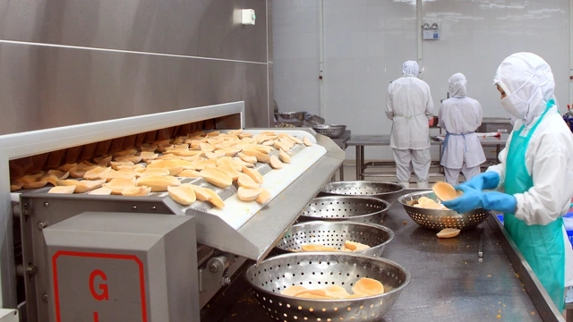 COFIDEC tiên phong chuyển đổi xanh, nâng tầm vị thế bền vững ngành thủy sản Việt Nam - Ảnh 1