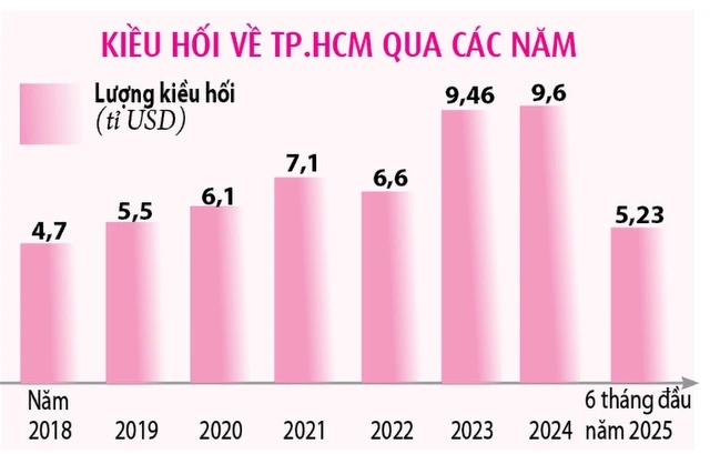 TP.HCM tiến tới Đại hội đại biểu Đảng bộ lần thứ I: Đất lành cho dòng kiều hối tỉ USD - Ảnh 3
