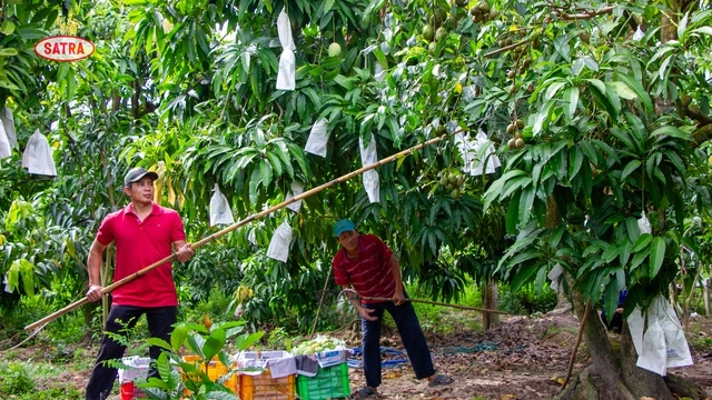 COFIDEC tiên phong chuyển đổi xanh, nâng tầm vị thế bền vững ngành thủy sản Việt Nam - Ảnh 3