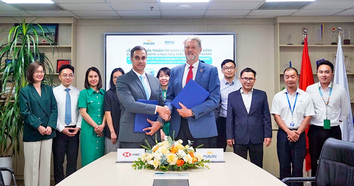 Chuỗi nuôi heo của Mavin được HSBC cấp tín dụng liên kết bền vững