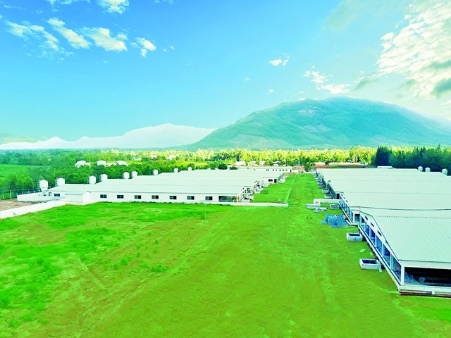 Chuỗi nuôi heo của Mavin được HSBC cấp tín dụng liên kết bền vững - Ảnh 3