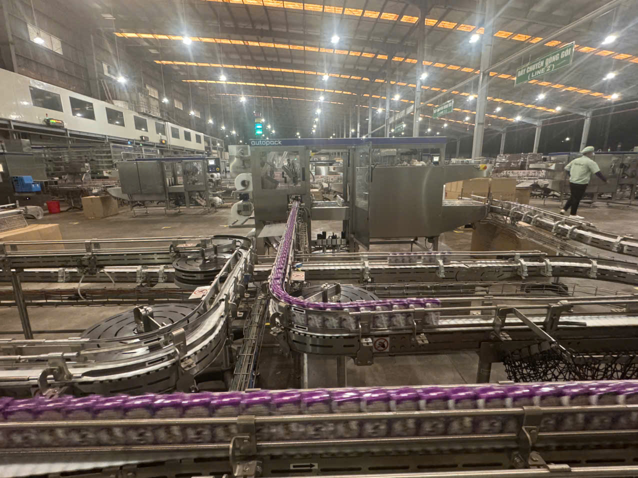 Gia Lai sẽ trở thành 'thiên đường bò sữa' mới? - Ảnh 1