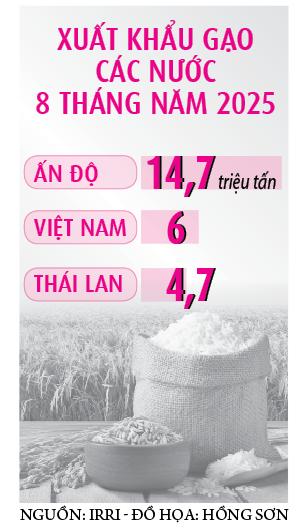 Doanh nghiệp than kẹt vốn mua dự trữ gạo - Ảnh 2