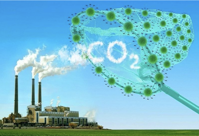 Việt Nam xây dựng hệ sinh thái xanh - Ảnh 2