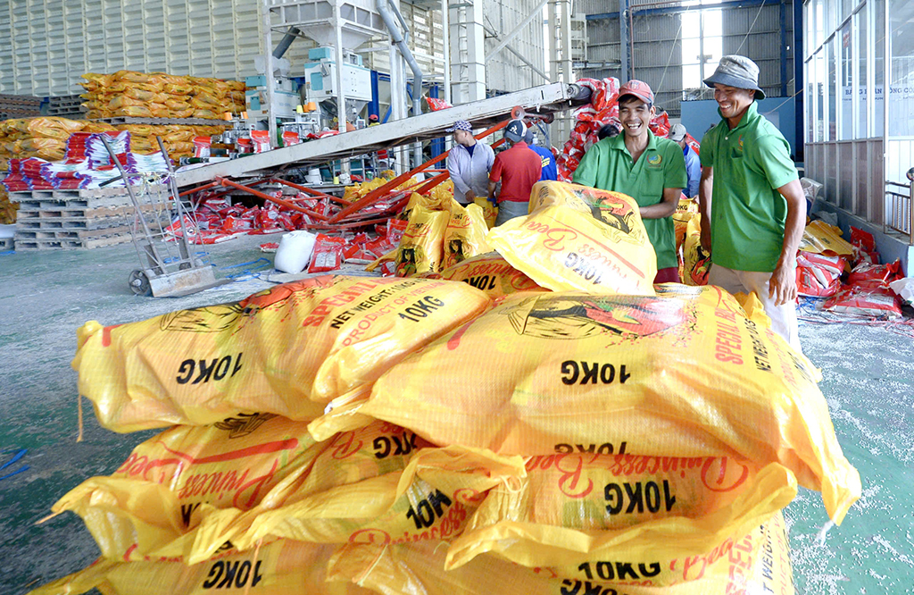 Giá lúa gạo đã tăng trở lại - Ảnh 1