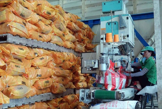 Gạo Việt vững vàng giữa sóng gió thị trường thế giới - Ảnh 1