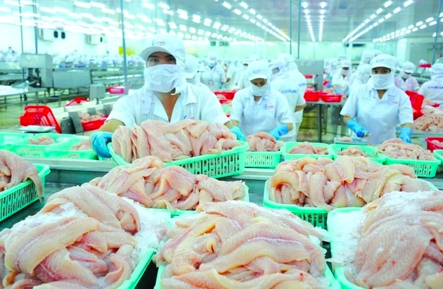 Cá tra 'bơi' vào thực đơn chuỗi sushi nổi tiếng Nhật Bản - Ảnh 2