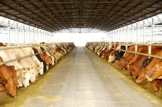 Nông nghiệp Hòa Phát chính thức nộp hồ sơ 'lên sàn' - Ảnh 1