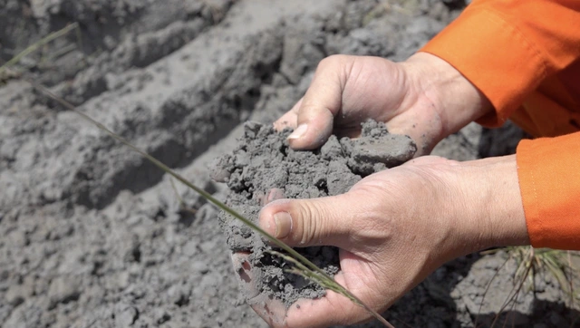 Bãi chứa 3,7 triệu tấn tro xỉ thành mỏ vật liệu triệu đô - Ảnh 2