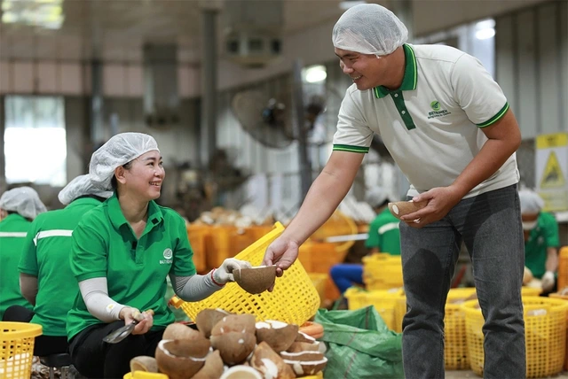 Đưa dừa thành ngành công nghiệp tỉ USD - Ảnh 4