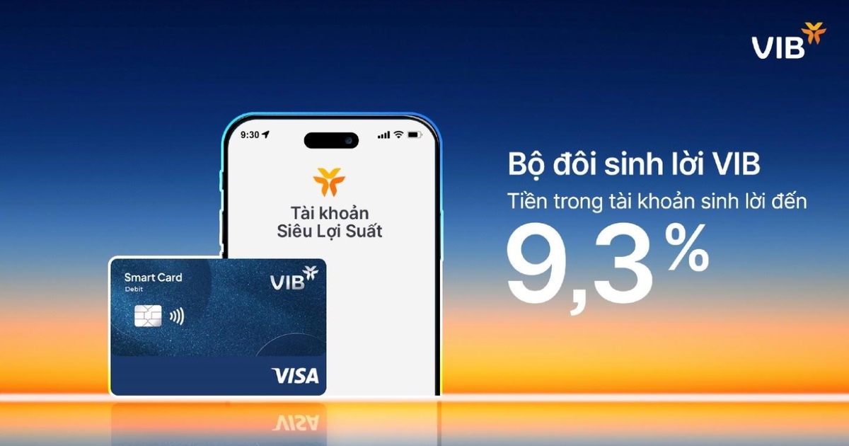 Bộ đôi Sinh Lời VIB – Giải pháp tài chính tối ưu dòng tiền đến 9,3%