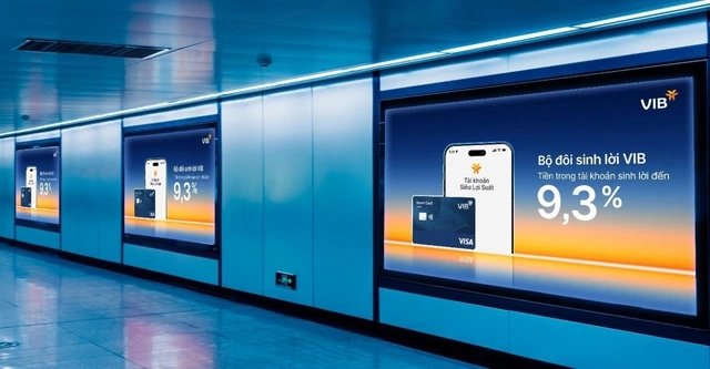 Bộ đôi Sinh Lời VIB – Giải pháp tài chính tối ưu dòng tiền đến 9,3% - Ảnh 4