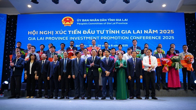 Gia Lai thu hút 3.590 tỉ đồng vốn đầu tư trong 1 tháng - Ảnh 1