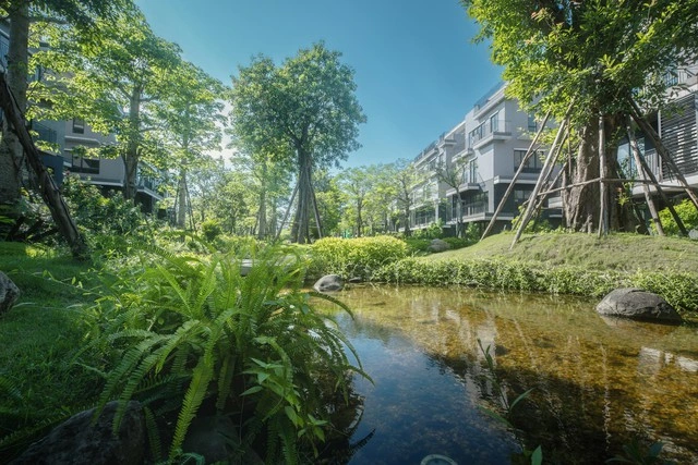 Khởi công trường liên cấp FPT tại đô thị Eco Central Park của nhà sáng lập Ecopark - Ảnh 4