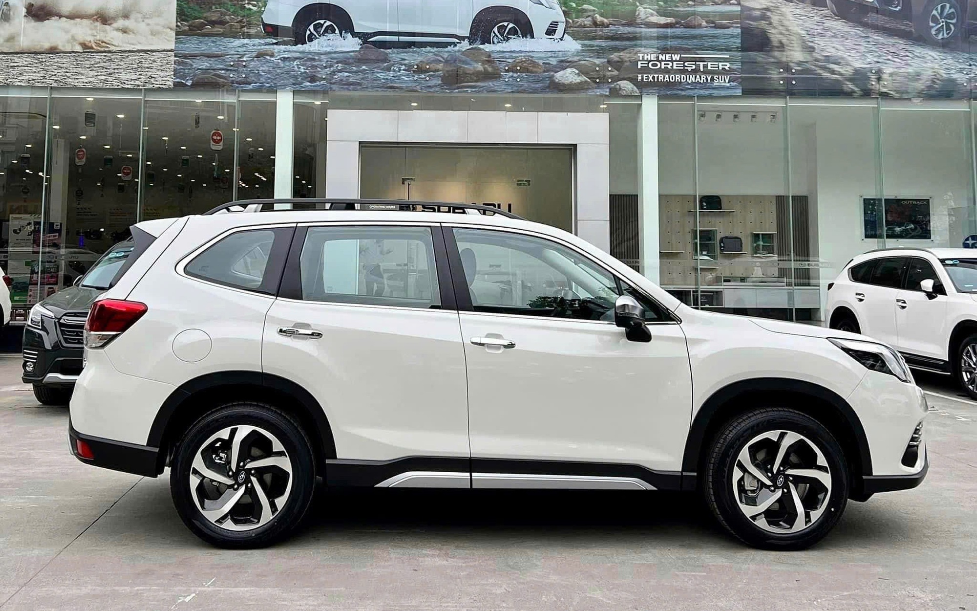 Subaru Forester giảm giá mạnh tại đại lý, dọn kho chờ đời mới sắp ra mắt: Bản đắt nhất còn 919 triệu đồng, ‘dễ thở’ hơn trước CX-5, Territory - Ảnh 3