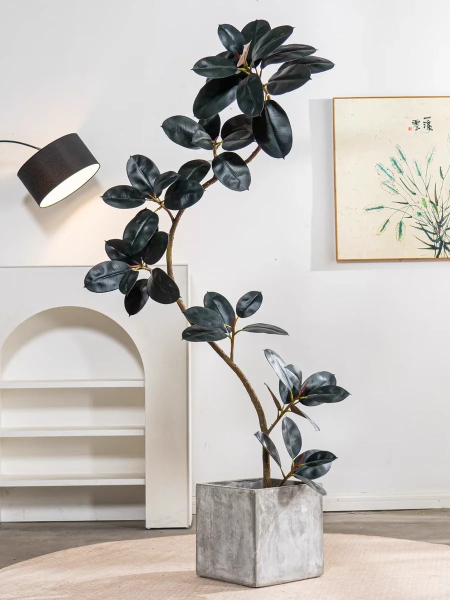 “Trong nhà có một cây, cả nhà ấm no": 5 loại cây nội thất đẹp, dễ sống, tăng sinh khí cho tổ ấm - Ảnh 7