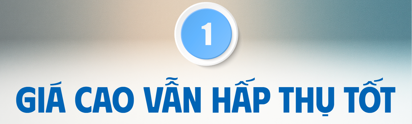 Nghịch lý giá chung cư Hà Nội cao kỷ lục, thanh khoản rất tốt nhưng khó xác định thực chất đến từ đâu? - Ảnh 1