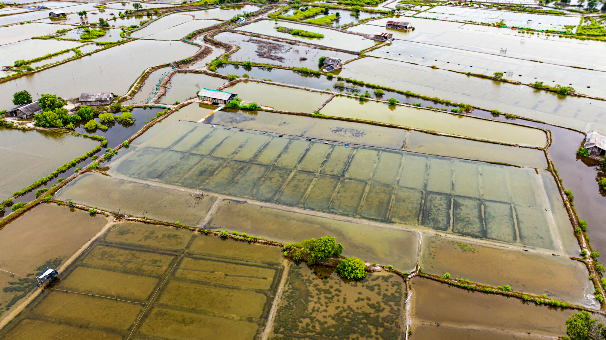Hòn đảo chỉ cách trung tâm Vũng Tàu 3 km từng được đề xuất làm sân bay, nay có thể trở thành khu đô thị mới của Sun Group - Ảnh 10