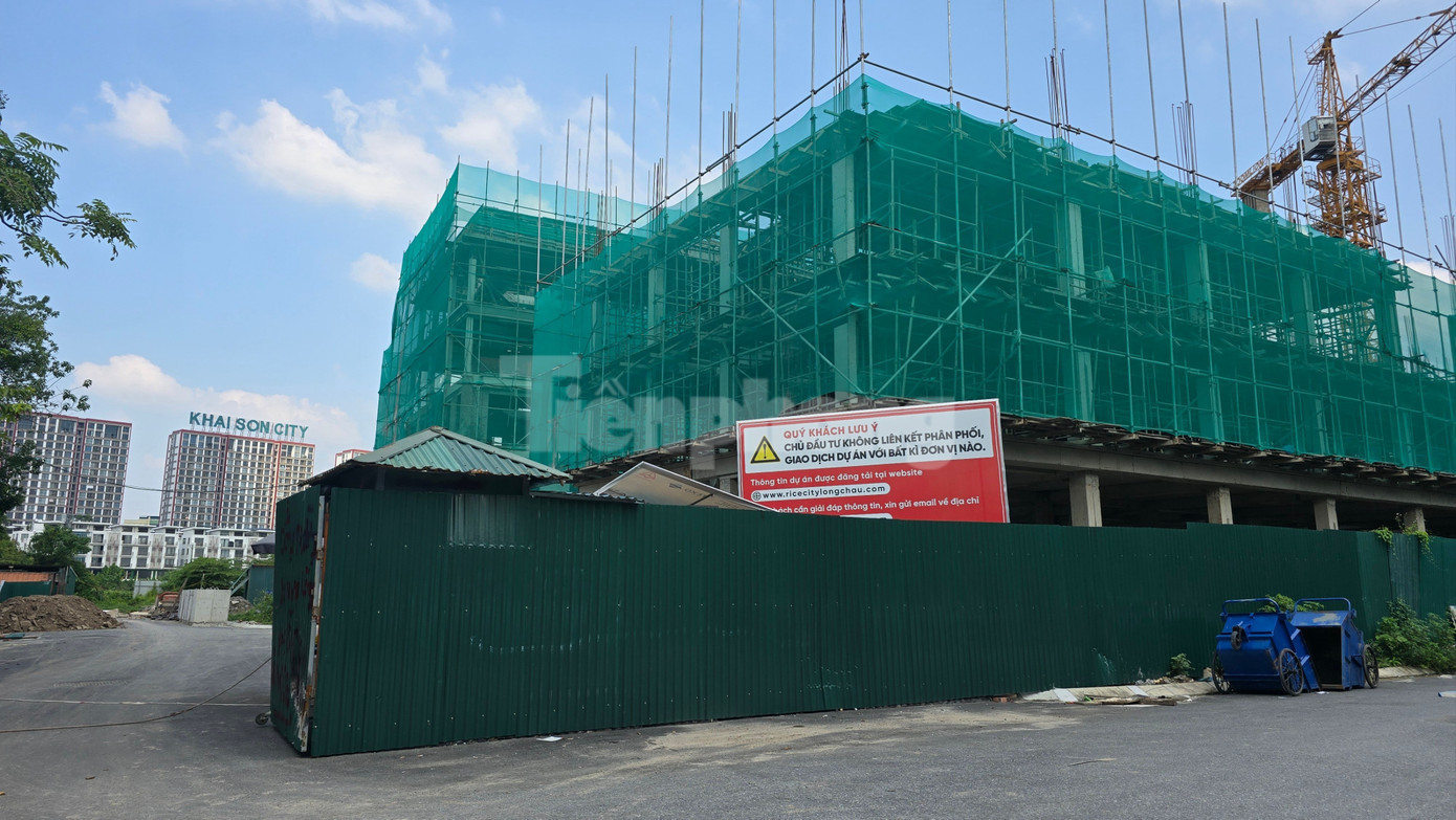 Hàng nghìn người 'kêu trời' vì canh cả tuần vẫn không nộp được hồ sơ nhà ở xã hội online - Ảnh 2