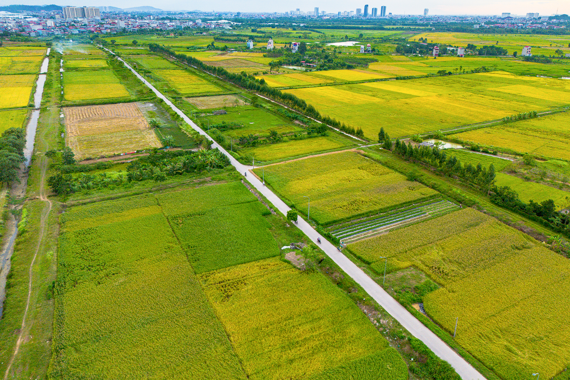 Toàn cảnh khu vực được đề xuất làm khu đô thị rộng gấp 3 lần quận Hoàn Kiếm; Nằm ở tỉnh có loạt ông lớn Vingroup, Sun Group, T&T đang đầu tư - Ảnh 12