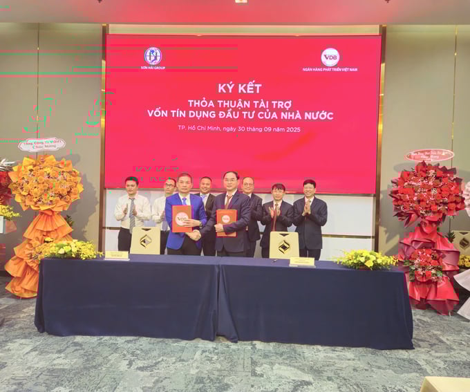 THACO, Tập đoàn Sơn Hải chuẩn bị vay 100.000 tỷ đồng từ ngân hàng để thực hiện nhiều dự án hạ tầng giao thông cả nước - Ảnh 1