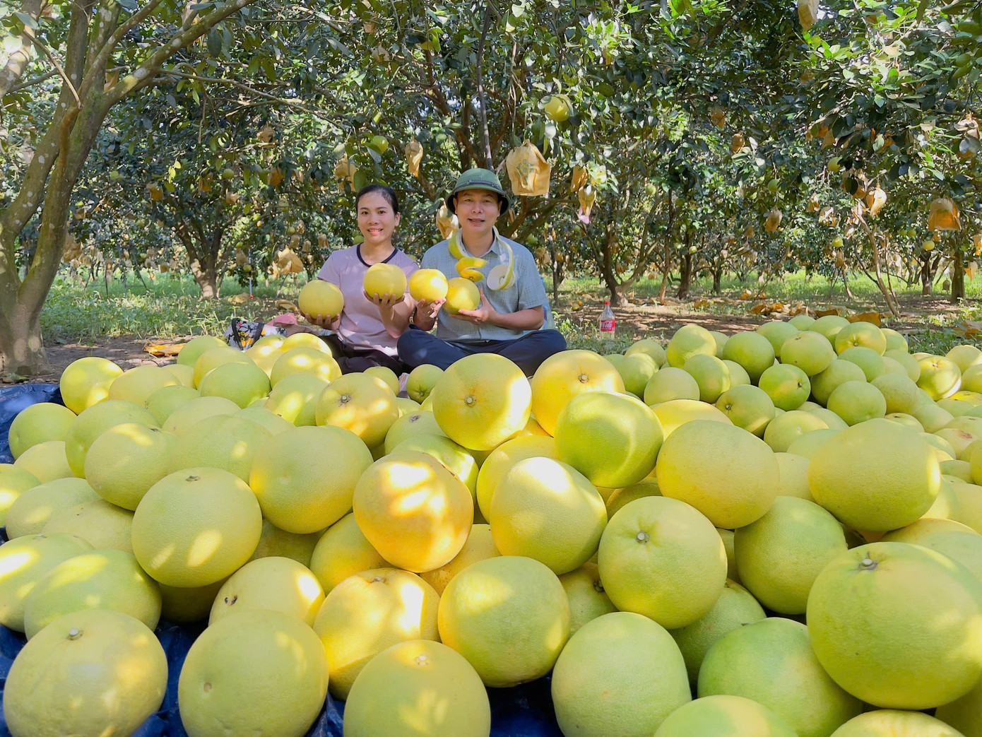 'Đệ nhất danh quả' Hà Tĩnh được chọn trong tiệc cưới Đỗ Thị Hà - Ảnh 1