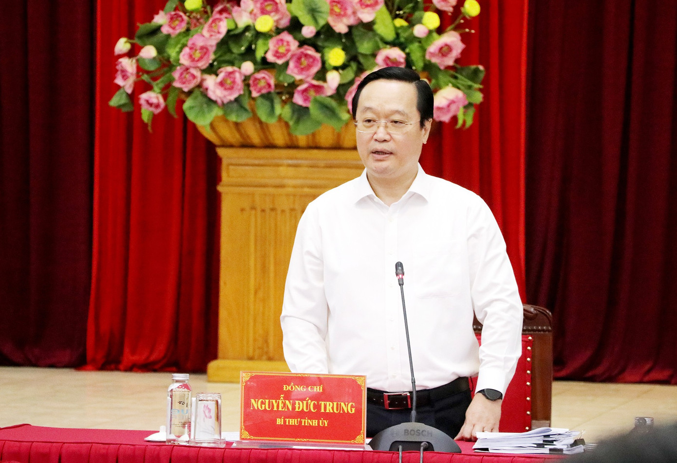 Gần 870 triệu USD vốn FDI đầu tư vào Nghệ An - Ảnh 2