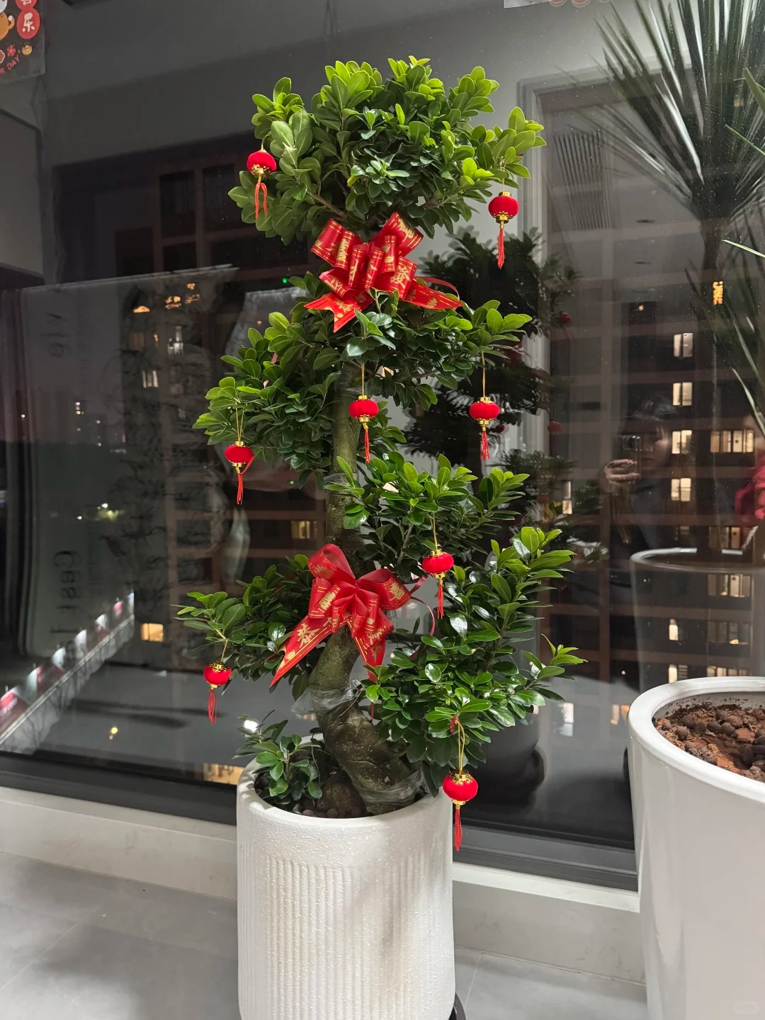 “Trong nhà có một cây, cả nhà ấm no": 5 loại cây nội thất đẹp, dễ sống, tăng sinh khí cho tổ ấm - Ảnh 12