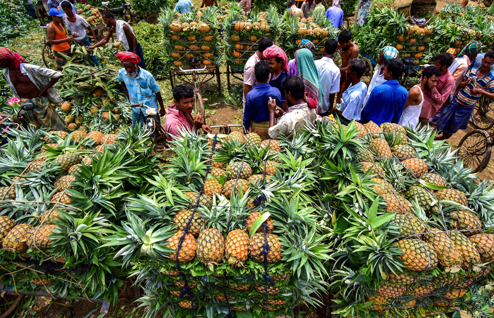 Không phải sầu riêng, loại quả của Việt Nam sang Nga đắt hàng kỷ lục: xuất khẩu tăng hơn 400%, sản lượng 860.000 tấn/năm - Ảnh 1