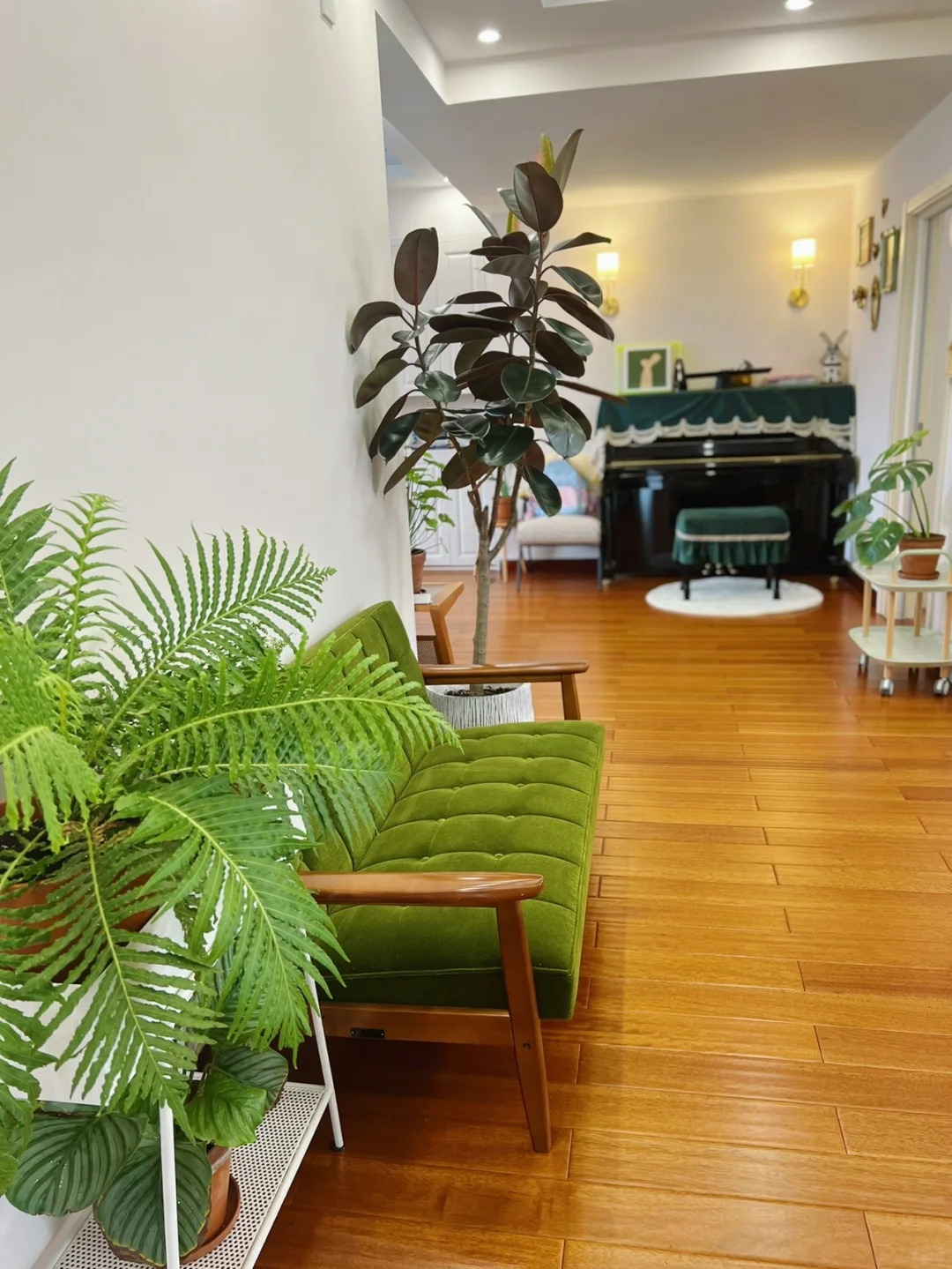 “Trong nhà có một cây, cả nhà ấm no": 5 loại cây nội thất đẹp, dễ sống, tăng sinh khí cho tổ ấm - Ảnh 6