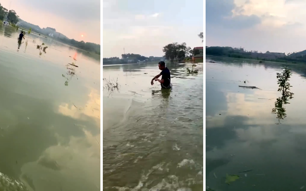 Tứ bề là nước, tài xế vẫn vô tư chở khách "qua sông": Là xe điện đi xa nhất Việt Nam, sản xuất ở TP.HCM - Ảnh 2