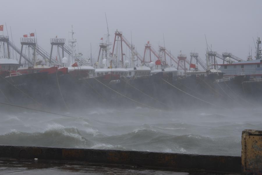 Những hình ảnh cận cảnh bão Matmo càn quét Trung Quốc - Ảnh 5