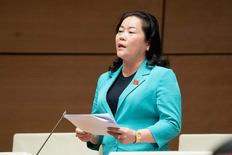 Dân phải photo sổ đỏ để tích hợp dữ liệu đất đai: Đại biểu nói 'phiền hà, mất thời gian' - Ảnh 2