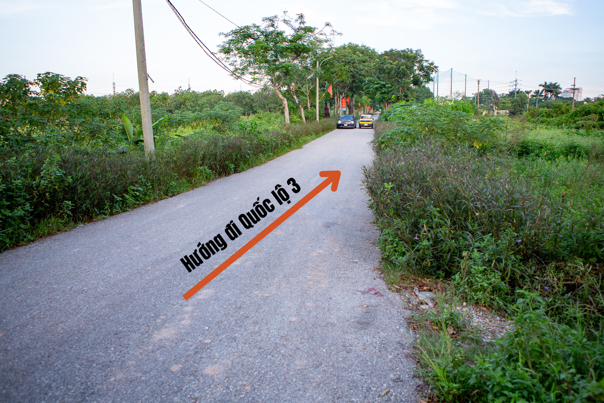 Thay bạn đi xem khu đất sẽ xây dự án nhà ở xã hội lớn nhất Thủ đô: Dự kiến sẽ có gần 7.000 căn hộ, sát công viên 100 ha của Sun Group - Ảnh 3