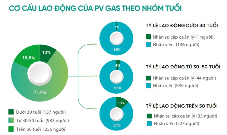 Chế độ phúc lợi nghỉ thai sản cho nhân viên PV Gas ra sao? - Ảnh 2