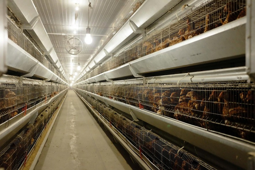 Sắp bùng nổ loạt thương vụ IPO - Ảnh 2